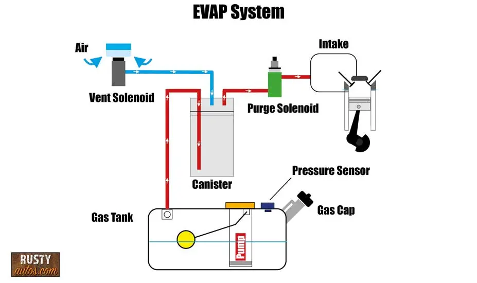 EVAP info-graphic